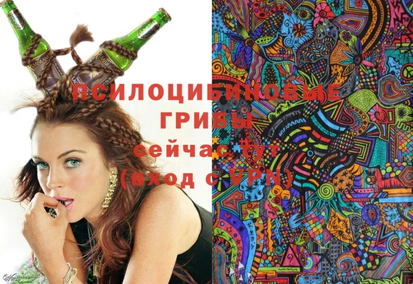 каннабис Зерноград