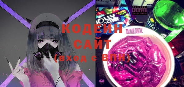 прущие грибы Инсар